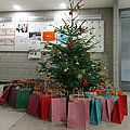 Sternschnuppenaktion 2025 Geschenke stehen vor einem Weihnachtsbaum