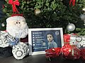 Sternschnuppenaktion 2025 Vor dem Weihnachtsbaum liegen Geschenke