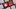 359 Booster-Impfungen an drei Tagen
