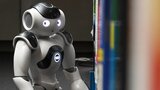 Aufnahme eines sozialen Roboters.