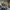 Bibliothek Bibliothek